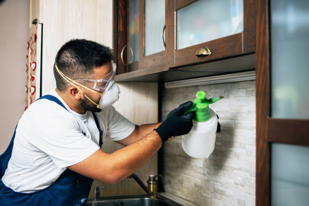 Best Pest Inspection Near Me  in Kerman, CA