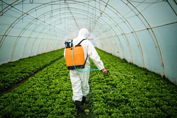Best Best Pest Control Companies  in Kerman, CA